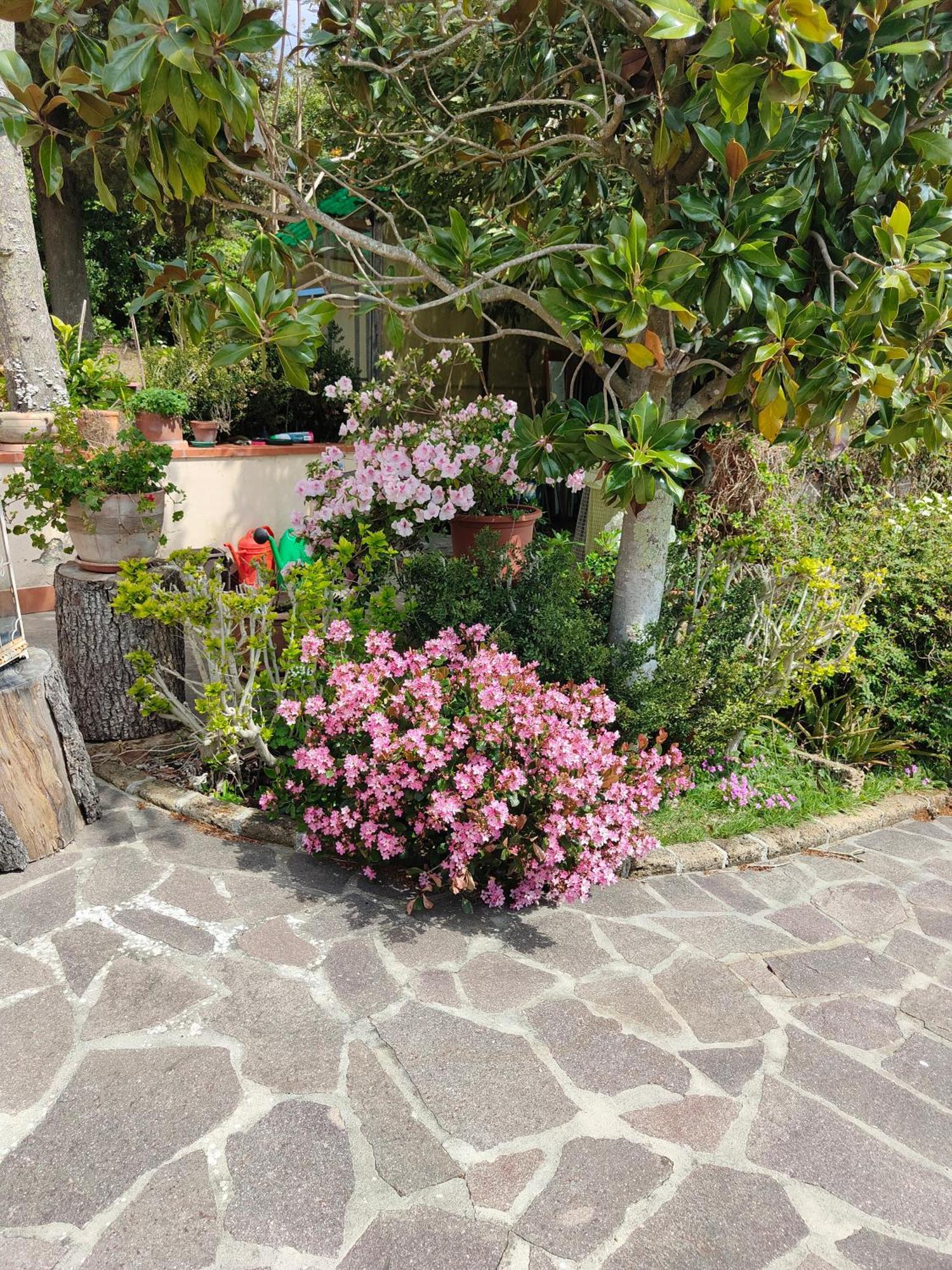 Il Diacciarello Apartment Gabbro Bagian luar foto