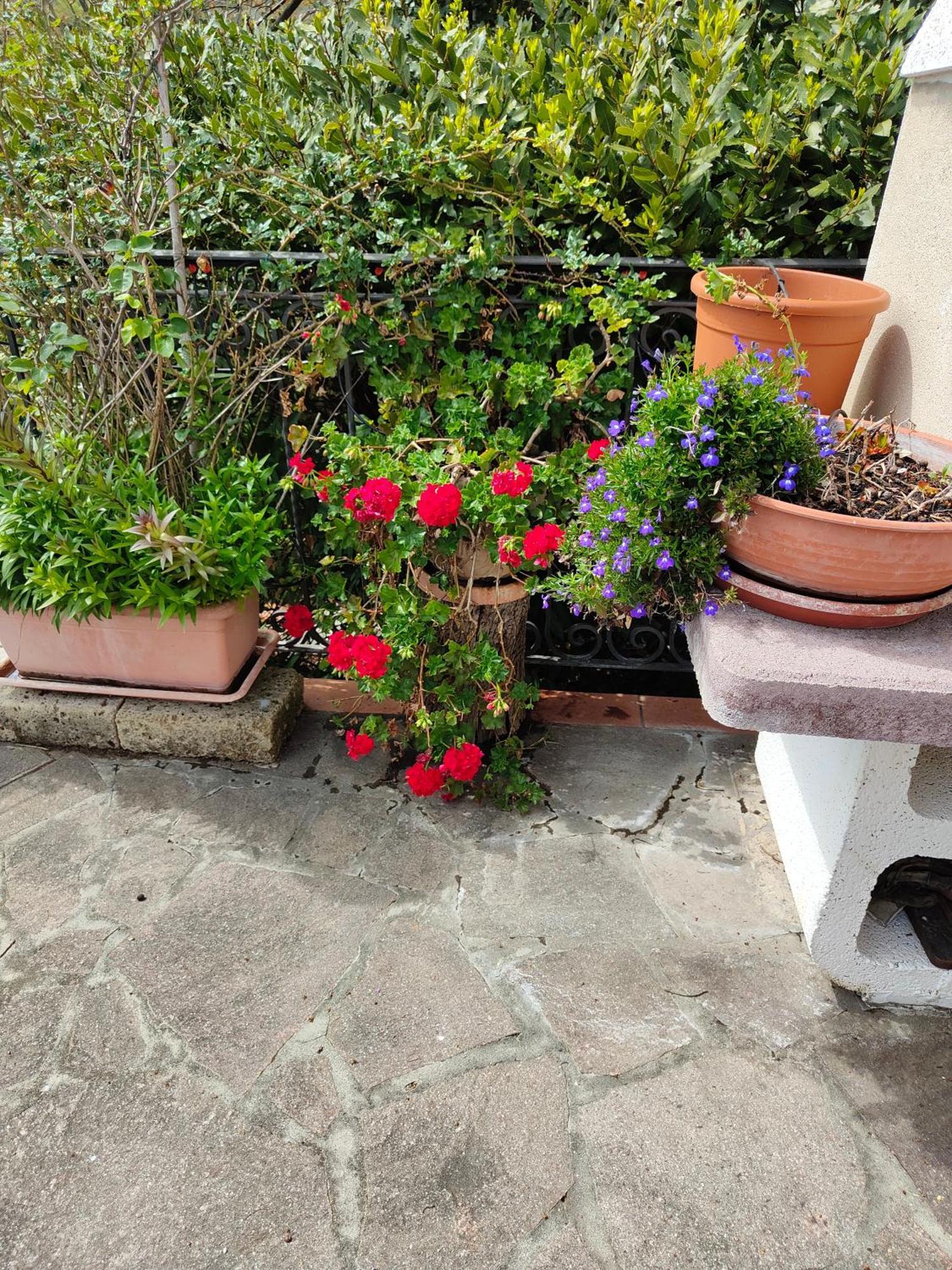Il Diacciarello Apartment Gabbro Bagian luar foto