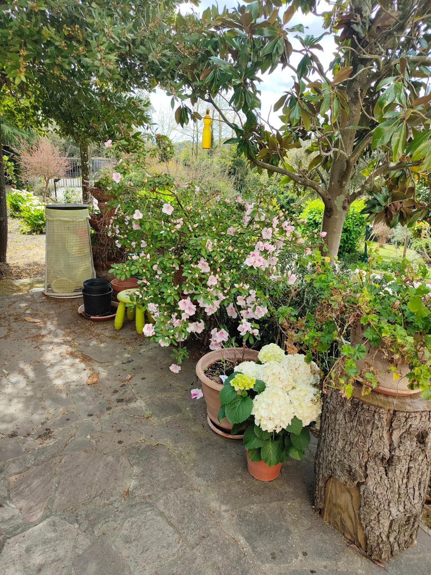 Il Diacciarello Apartment Gabbro Bagian luar foto